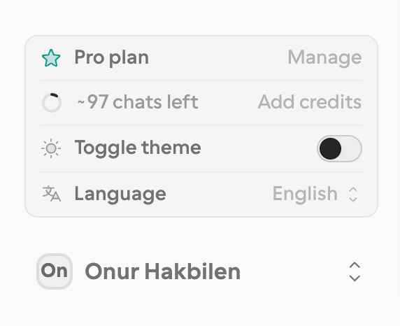 The account card with plan, AI credits, theme, and language rows